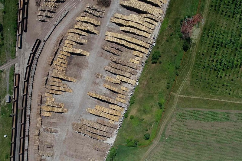 Eastern Europe’s Biggest Wood Processor Demanded Free Timber From Suppliers For Years