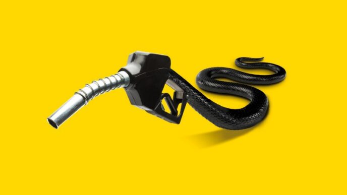 How Biofuels Scams Have Undermined A Flagship Eu Climate Policy