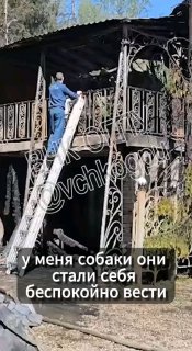 The Owner Of A House In Snt &Quot;Snegir&Quot; In The Moscow Region, Where They Died In A Fire That Night...