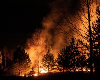 Top 10 Biggest Wildfires In World History