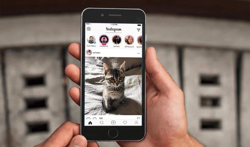 instagram