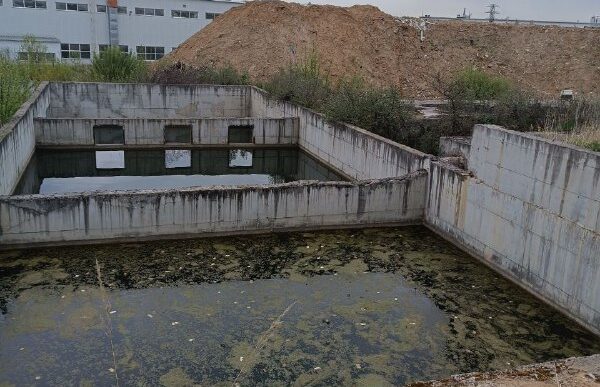 This is what the surroundings of the “Chekhov Dry Port” look like, the construction project of which...