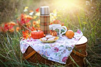 How To Plan A Picnic