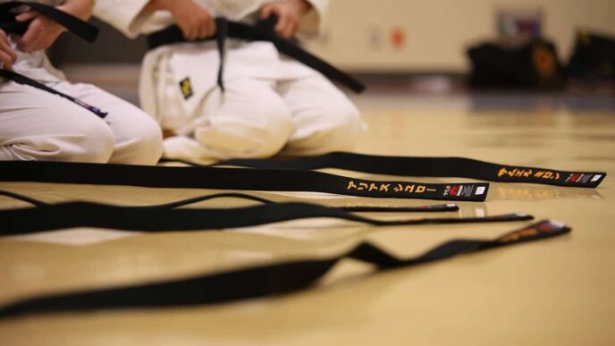 A Quick Guide To The BJJ Belt System