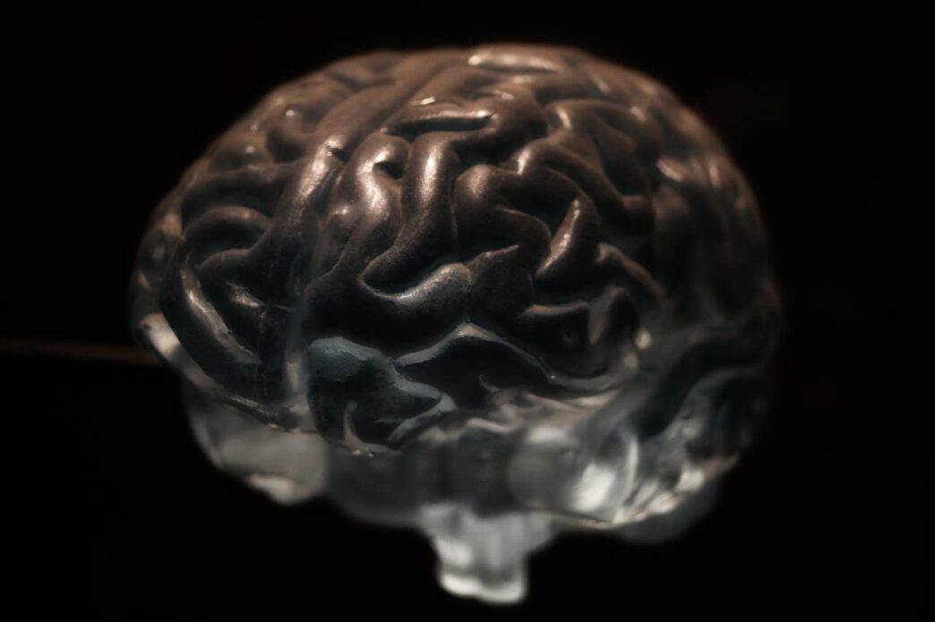 Why Are Neurons So Important?