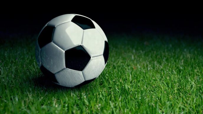 Turn passion into profit with football APIs