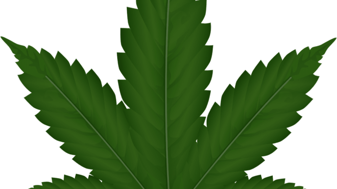 Where to buy weed online CA