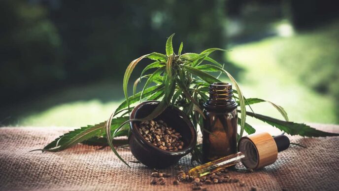 How Cbd Can Benefit Your Pets – What You Need To Know