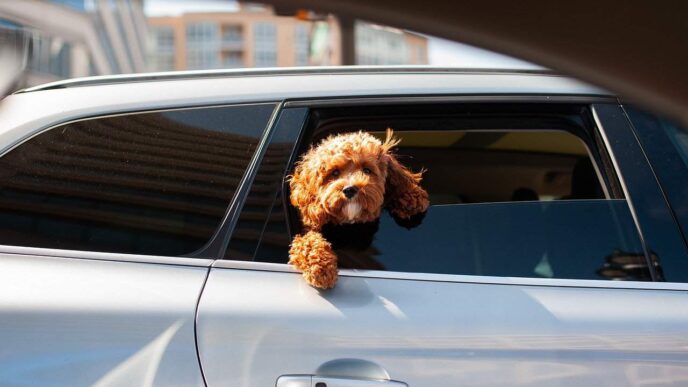 7 Tips to Help Your Dog Lose Weight