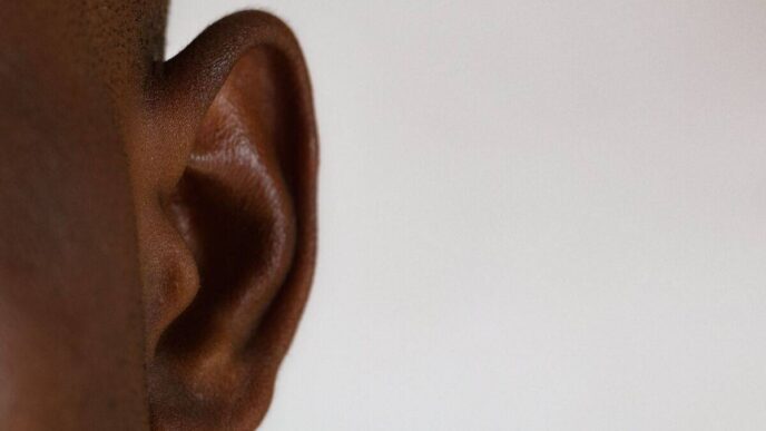 Understanding The Anatomy Of The Ear