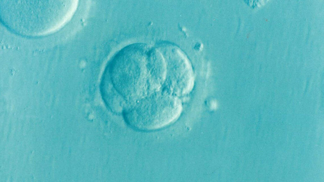 Essentials in Understanding and Embracing the IVF Process