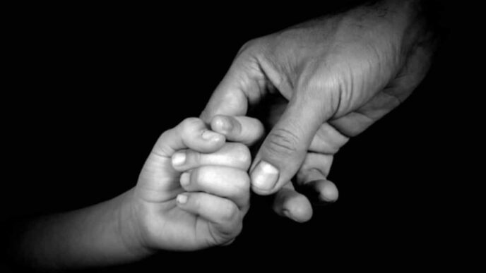 Why Parents Love HiPP Dutch Stage 1