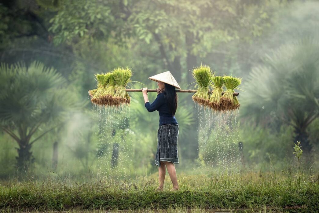 Cultivating Opportunities: Online Agricultural Trading Platforms Empowering Farmers