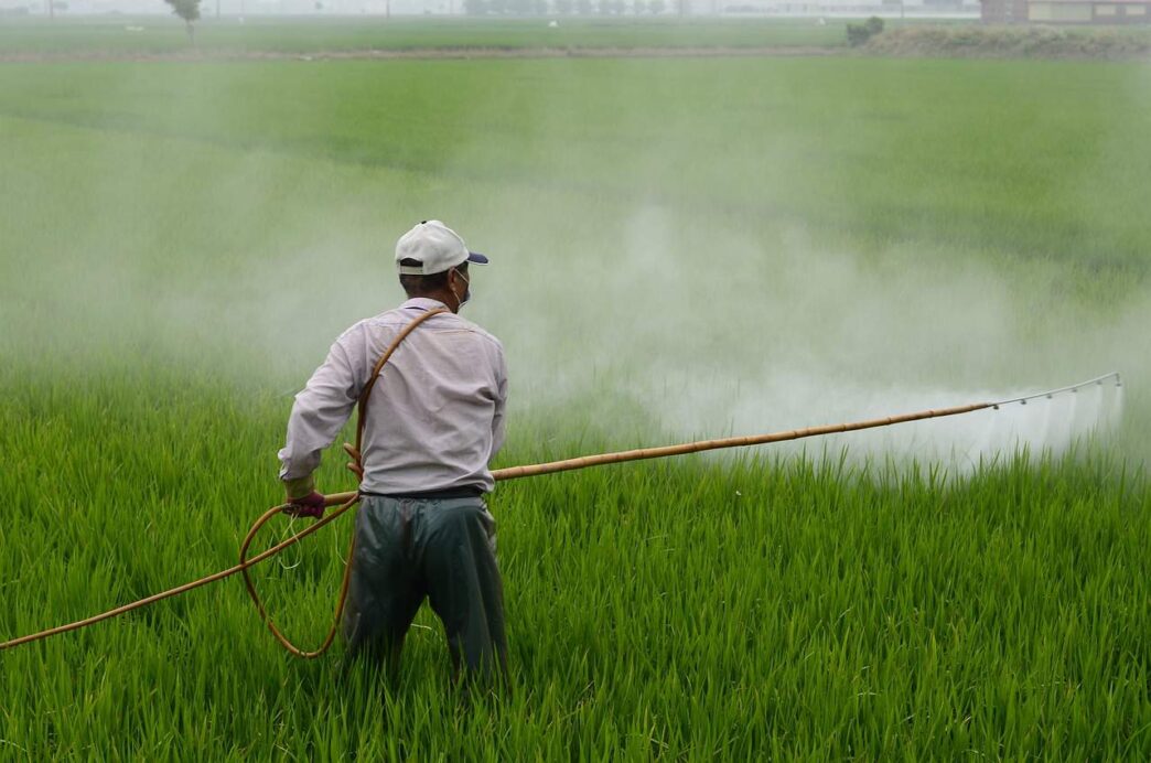 What’s the best method for pesticide storage?