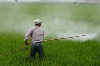 What’s the best method for pesticide storage?