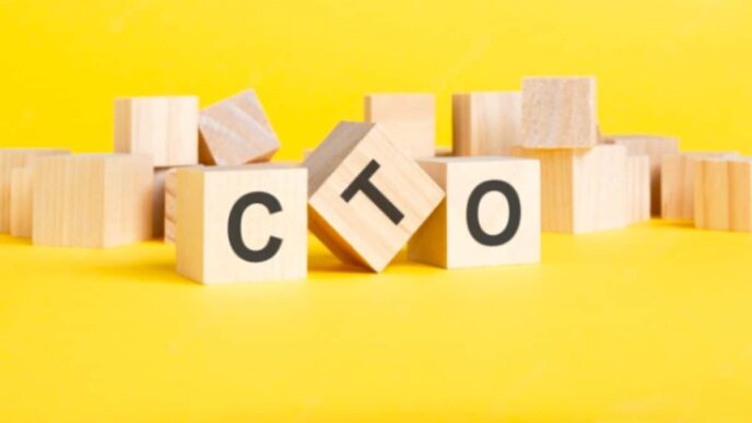 Helpful Guide to Choosing the Right CTO for Your Business in 2022