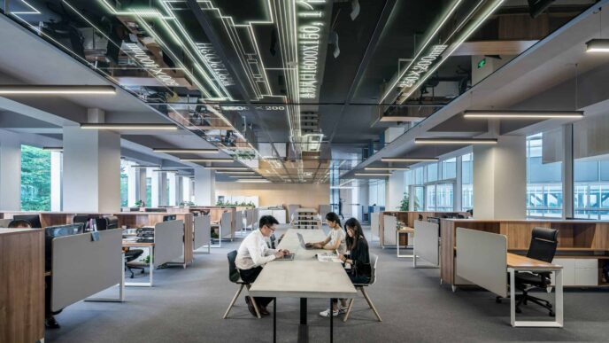 Set Up A Company in the Netherlands as a Foreigner