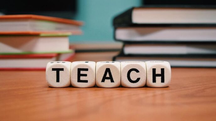 5 Best Work Opportunities In Teaching