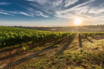 The Areas to Finesse for a Sustainable Farm