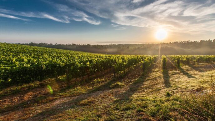 The Areas to Finesse for a Sustainable Farm