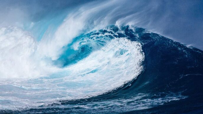 What the Silver Tsunami Means for Business in the US