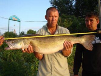 Near Bakhmut, four crime bosses released from the zones have already died. Lead...