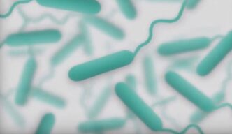 Cholera vaccine production up but stockpiles still short: WHO