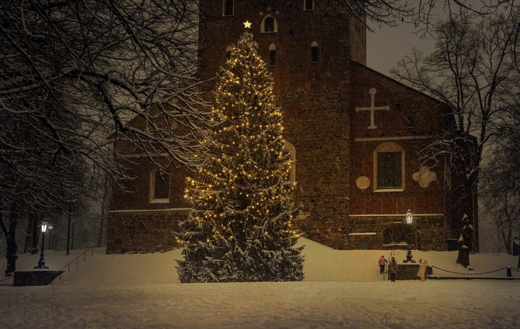 Don’t eat your Christmas tree, warns Belgium food agency