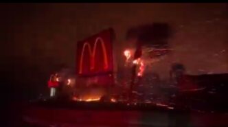 Los Angeles wildfires in figures