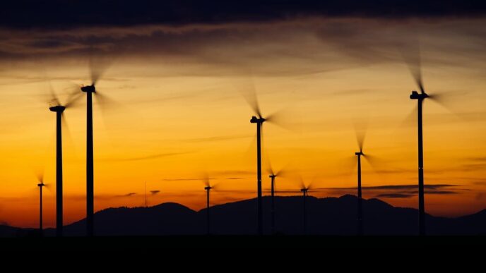 China installs record amount of renewable energy in 2024, data shows