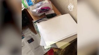 One of the organizers of the group that provided crime services was detained ...
