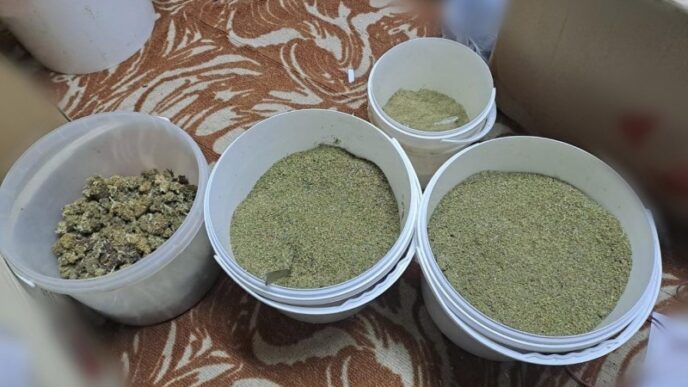 Russian Company Behind Egypt Wheat Cargo Had History of Selling ‘Stolen’ Ukraine Grain
