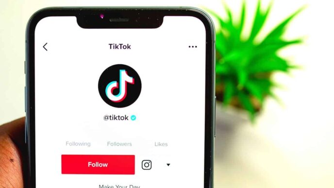 TikTok’s Future in America