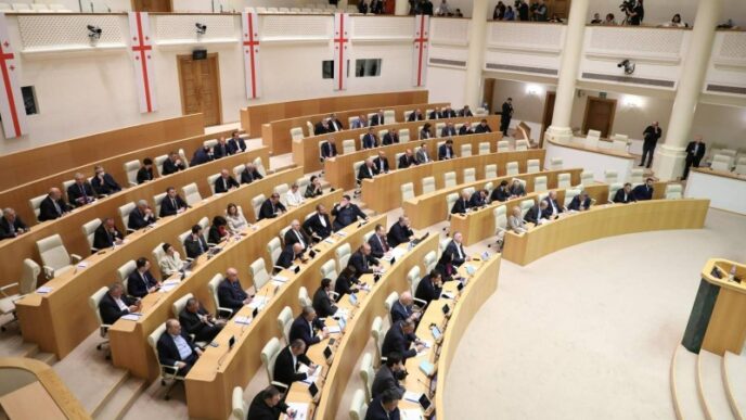 Georgia Freezes NGO Bank Accounts, Accuses Them of “Sabotage” Linked to Mass Protests