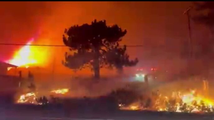 Los Angeles wildfires costliest in history: Munich Re