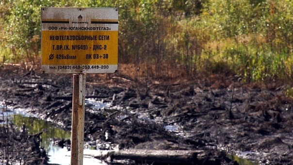 Partisan pipe from billionaire Sechin