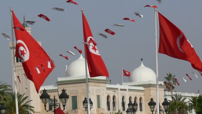 Tunisia Targets Critics with Harsh Laws, HRW Reports