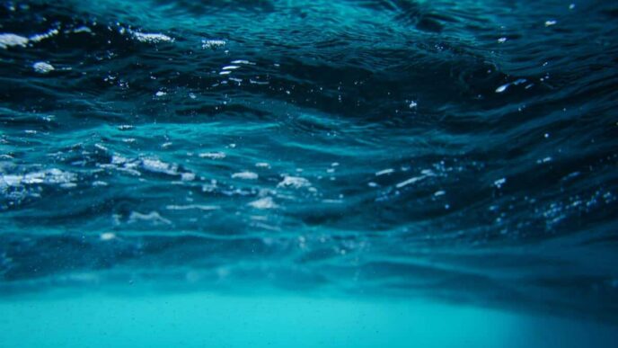 Captured underwater drone sent messages to China: Philippine military