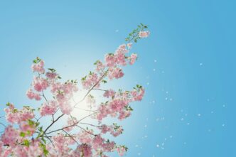 UK records sunniest spring in over a century