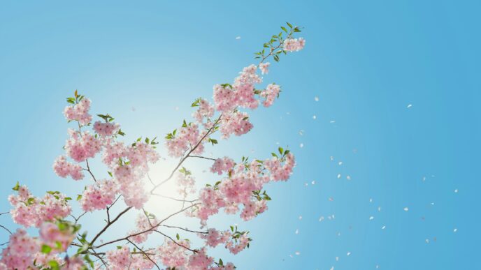 UK records sunniest spring in over a century