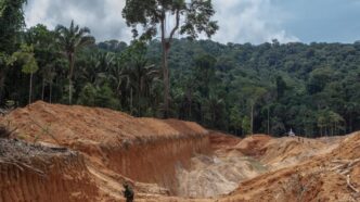 Brazil Uncovers Plot to Kill Top Officials, Arrests Five in Extremist Cell