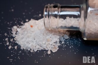 Major Nordic Drug Bust Leads to Over 1,000 Years in Prison for Traffickers