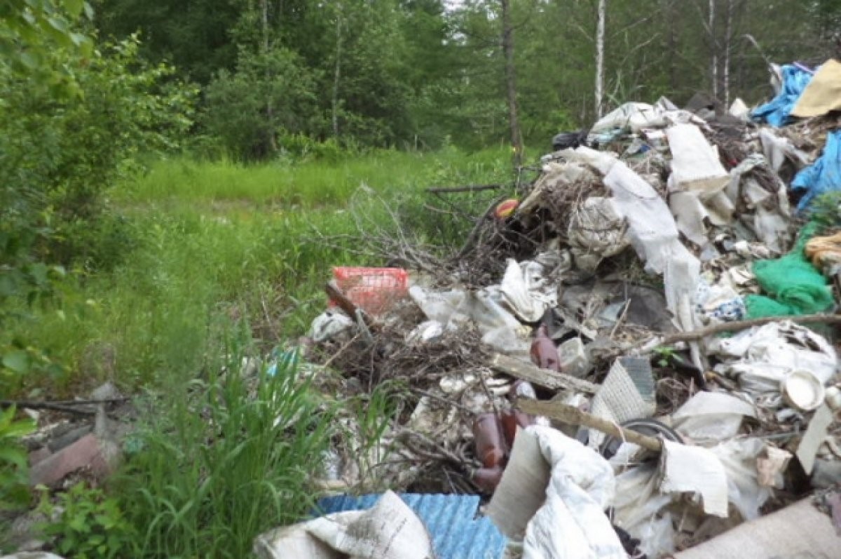 Governor Vedernikov takes out garbage according to the emergency scheme Governor Vedernikov takes out garbage according to the emergency scheme